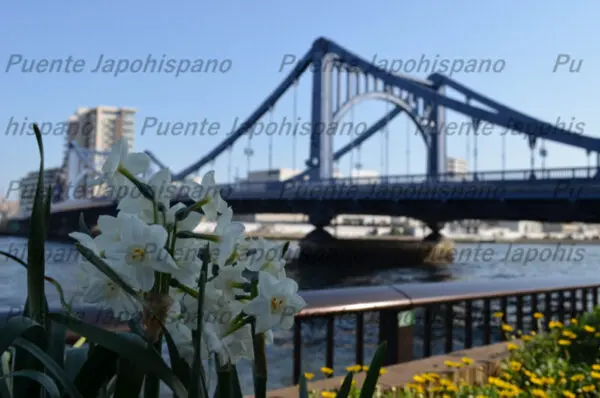 隅田川フォトセット（25枚入り） - 画像 (2)