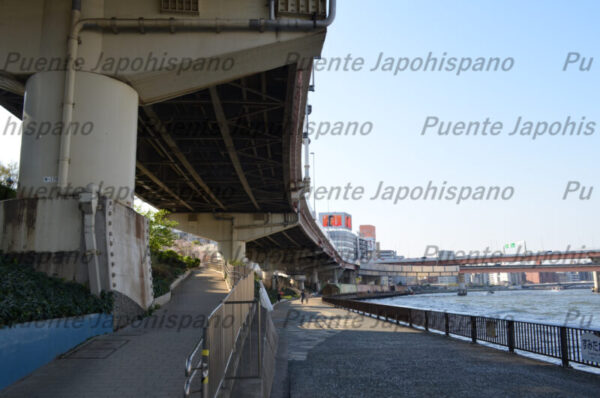 隅田川フォトセット（25枚入り） - 画像 (3)
