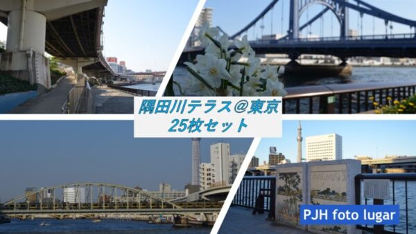 隅田川フォトセット（25枚入り）